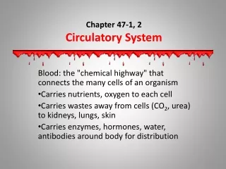 Chapter 47-1, 2 Circulatory System