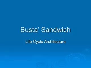 Busta’ Sandwich