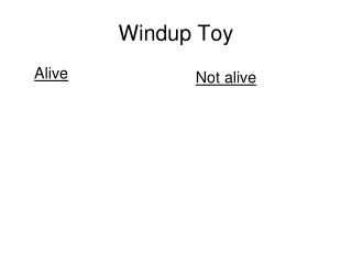 Windup Toy