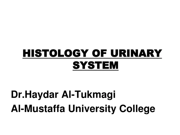histology of urinary system dr haydar al tukmagi
