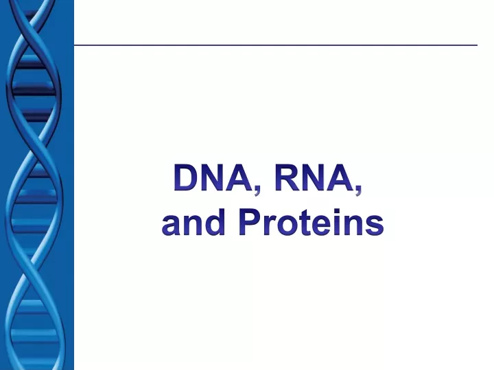dna rna and proteins