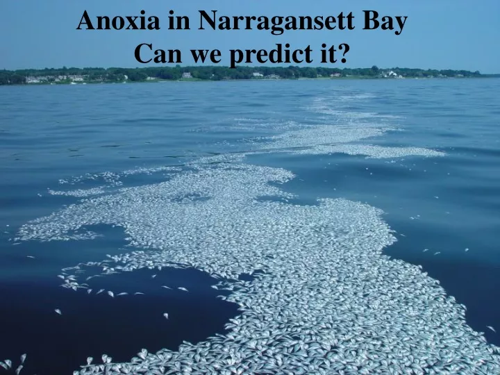 anoxia in narragansett bay can we predict it