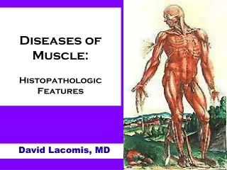 Diseases of Muscle: Histopathologic Features