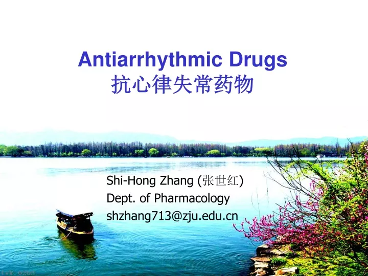 antiarrhythmic drugs