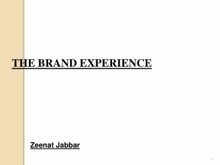 THE BRAND EXPERIENCE