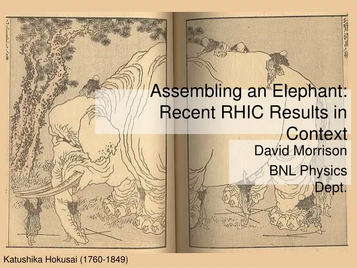 assembling an elephant recent rhic results in context