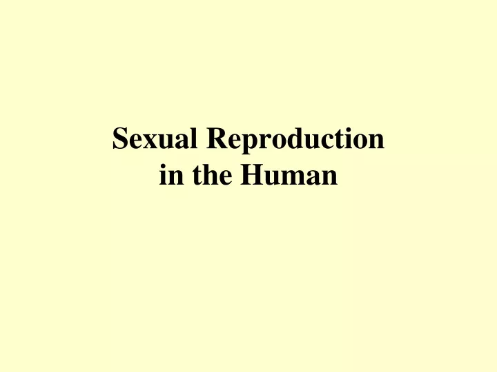 sexual reproduction in the human