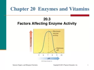 Chapter 20  Enzymes and Vitamins