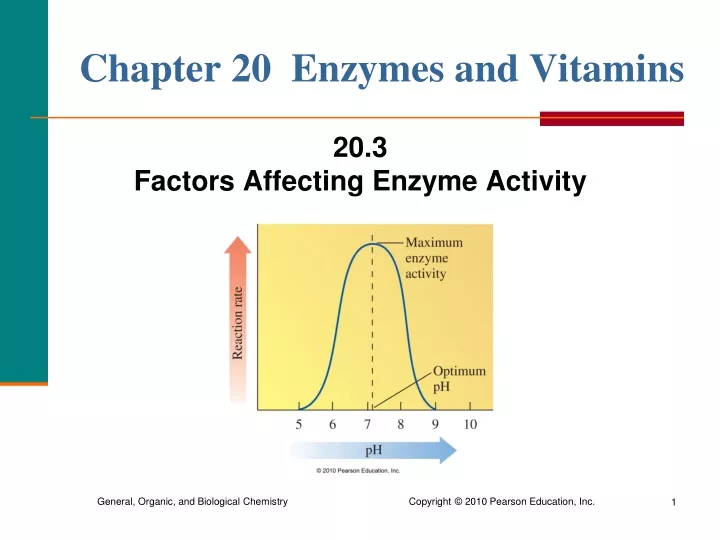 chapter 20 enzymes and vitamins