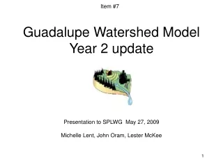 Guadalupe Watershed Model Year 2 update