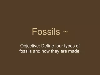 Fossils ~
