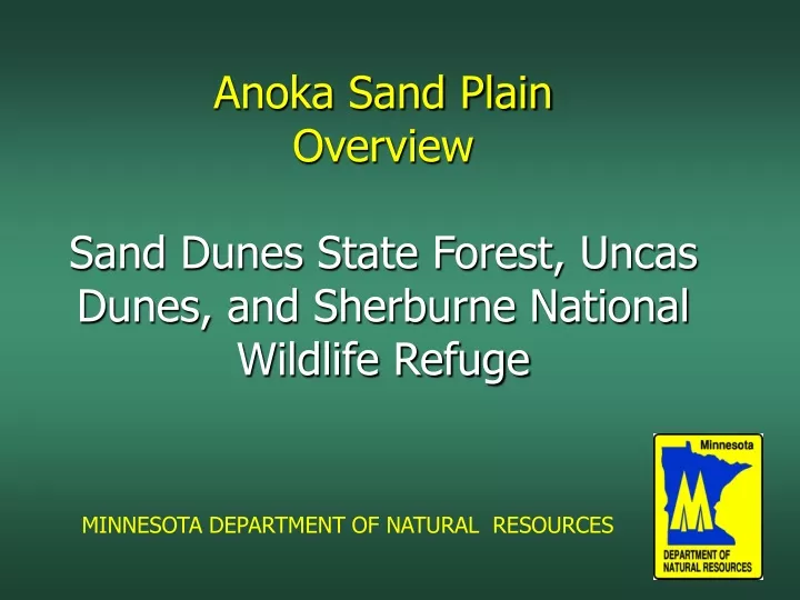 anoka sand plain overview sand dunes state forest