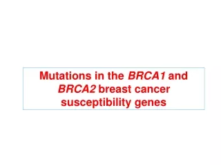 Mutations in the  BRCA1  and  BRCA2  breast cancer susceptibility genes