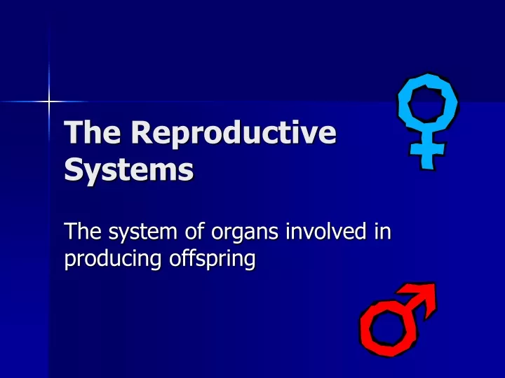 the reproductive systems