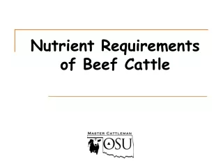 Nutrient Requirements  of Beef Cattle