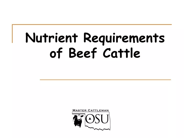 nutrient requirements of beef cattle