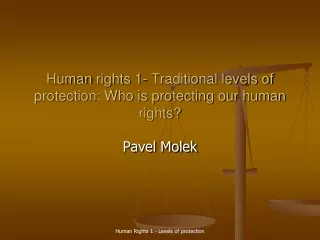 Human rights  1-  Traditional levels of protection: Who is protecting our human rights?