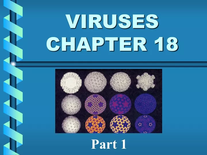 viruses chapter 18