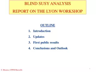 BLIND SUSY ANALYSIS REPORT ON THE LYON WORKSHOP