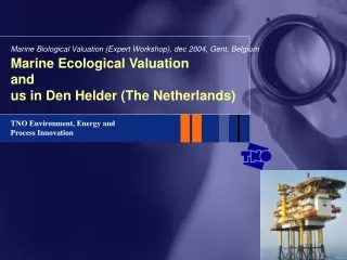 Marine Ecological Valuation  and  us in Den Helder (The Netherlands)
