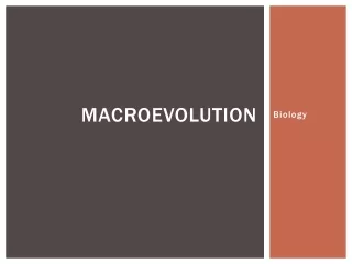 Macroevolution