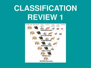 CLASSIFICATION REVIEW 1