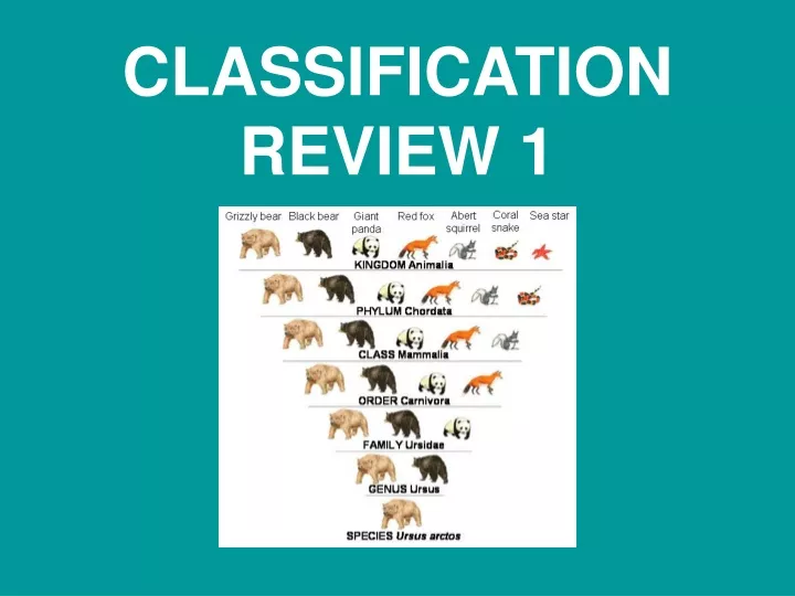 classification review 1