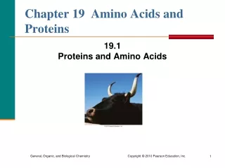 Chapter 19  Amino Acids and Proteins