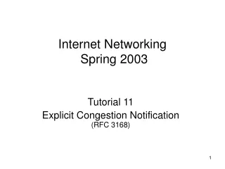 Internet Networking   Spring 2003