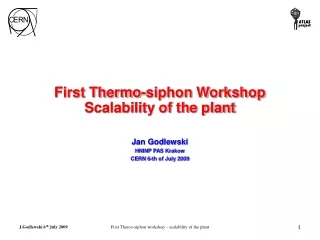 First Thermo-siphon Workshop Scalability of the plant