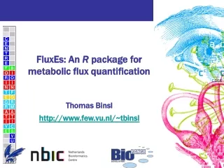 FluxEs: An  R  package for metabolic flux quantification