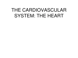 THE CARDIOVASCULAR SYSTEM: THE HEART