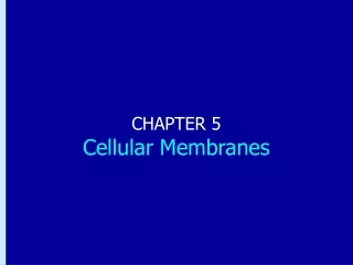 CHAPTER 5 Cellular Membranes