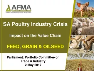 SA Poultry Industry Crisis Impact on the Value Chain FEED, GRAIN &amp; OILSEED