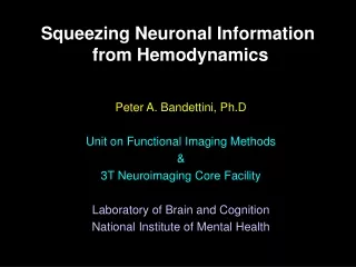 Peter A. Bandettini, Ph.D Unit on Functional Imaging Methods &amp; 3T Neuroimaging Core Facility