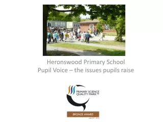 Heronswood Primary School Pupil Voice – the issues pupils raise