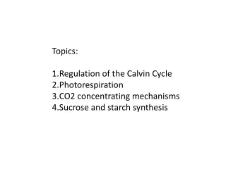 Topics: Regulation of the Calvin Cycle Photorespiration CO2 concentrating mechanisms