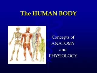 The HUMAN BODY
