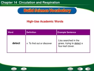 High-Use Academic Words