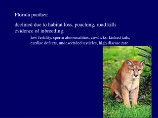 Florida panther: declined due to habitat loss, poaching, road kills evidence of inbreeding: