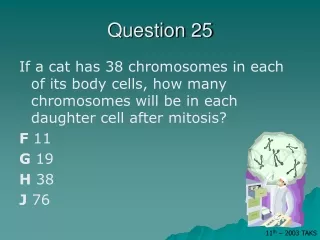 Question 25