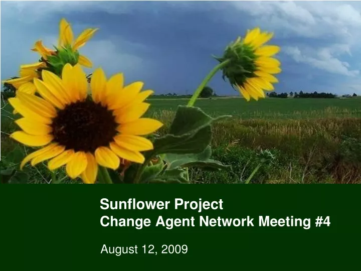 sunflower project change agent network meeting 4
