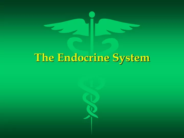 the endocrine system