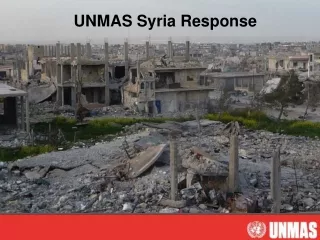 UNMAS  Syria Response