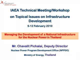 IAEA Technical Meeting/Workshop on Topical Issues on Infrastructure Development 9-12 February 2010