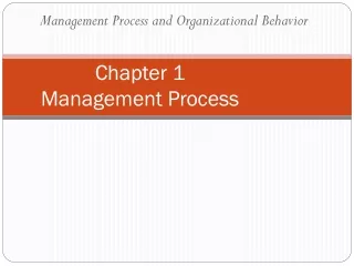 Chapter 1  Management Process