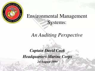 Environmental Management Systems: An Auditing Perspective