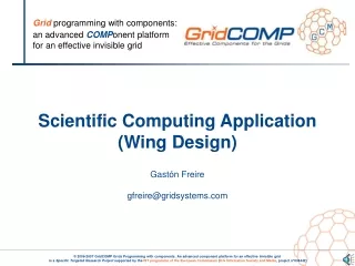 Scientific Computing Application (Wing Design) Gastón Freire gfreire@gridsystems