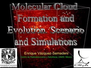 Enrique Vázquez-Semadeni Centro de Radioastronomía y Astrofísica, UNAM, México