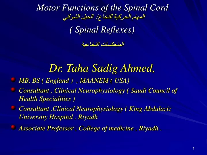 motor functions of the spinal cord spinal reflexes